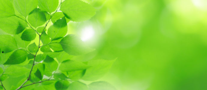 Sustainability