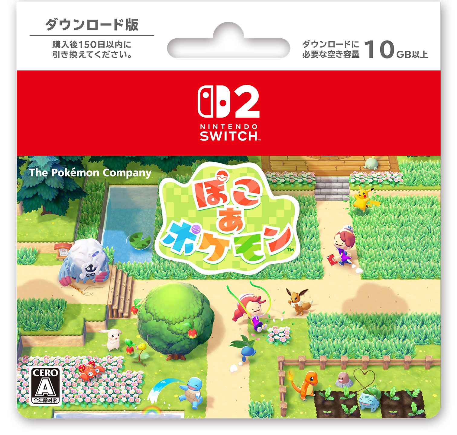 ニンテンドーダウンロードカード